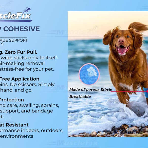 Cohesive Self-Adhesive Bandage Wrap, Red, Pack of 12